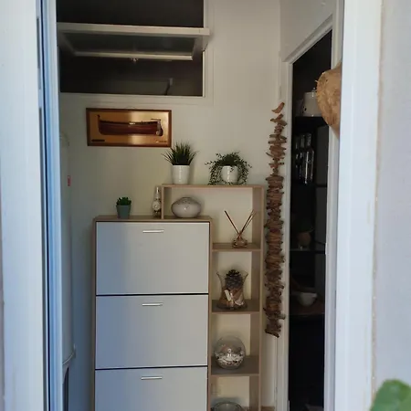 Les Palmiers, T2 Confortable En Rez De Jardin, Bord De Mer, Terrasse * Hyères
